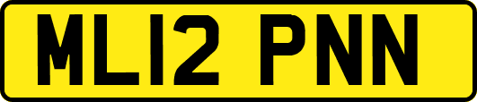 ML12PNN