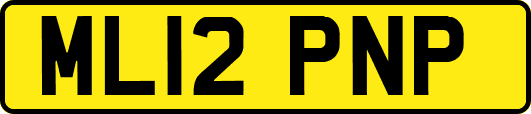 ML12PNP