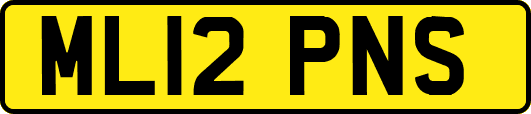 ML12PNS