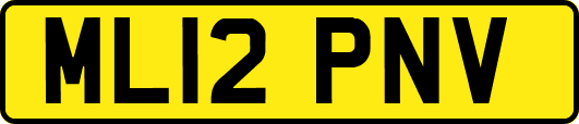 ML12PNV