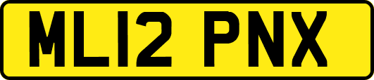 ML12PNX