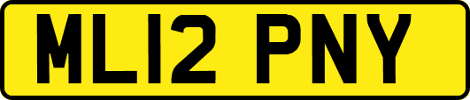 ML12PNY