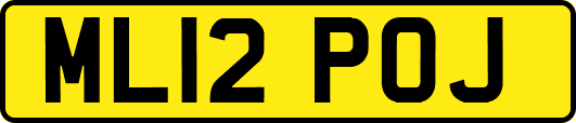 ML12POJ