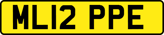 ML12PPE