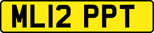 ML12PPT