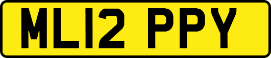 ML12PPY