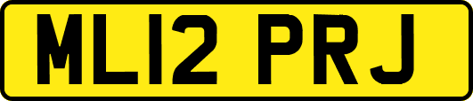 ML12PRJ