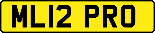 ML12PRO