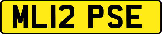 ML12PSE