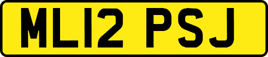ML12PSJ