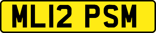 ML12PSM