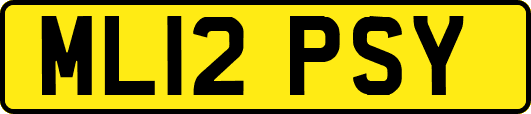 ML12PSY