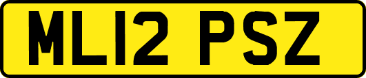 ML12PSZ