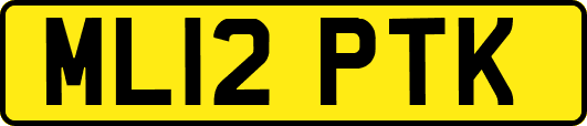 ML12PTK