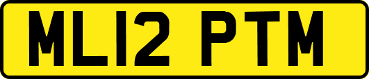 ML12PTM