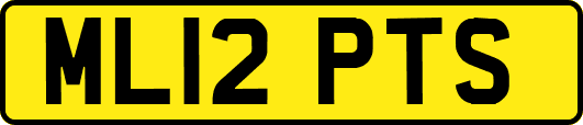 ML12PTS