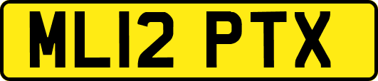 ML12PTX