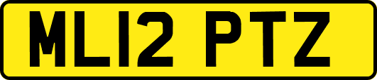 ML12PTZ