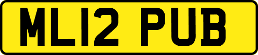 ML12PUB