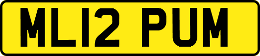 ML12PUM