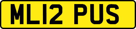 ML12PUS