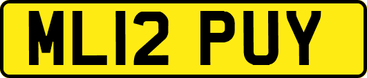 ML12PUY