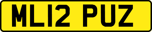ML12PUZ