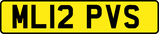 ML12PVS