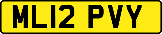 ML12PVY