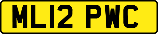 ML12PWC