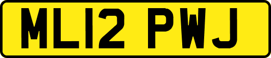 ML12PWJ
