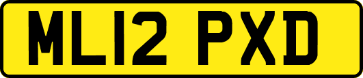 ML12PXD