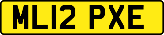 ML12PXE
