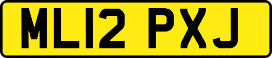 ML12PXJ
