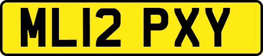 ML12PXY