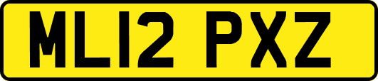 ML12PXZ