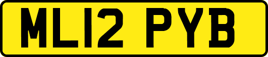 ML12PYB
