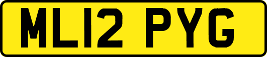 ML12PYG