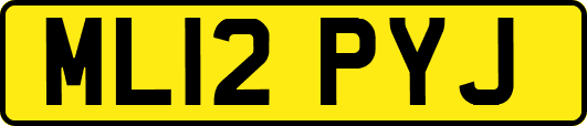 ML12PYJ