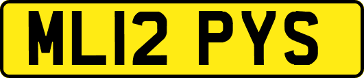 ML12PYS