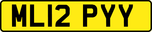 ML12PYY
