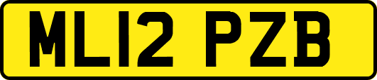ML12PZB