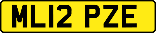 ML12PZE