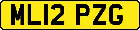 ML12PZG