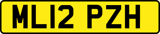 ML12PZH