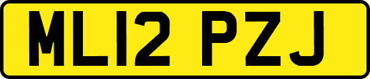 ML12PZJ