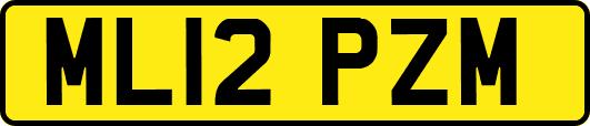 ML12PZM
