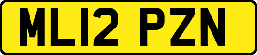 ML12PZN