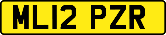 ML12PZR