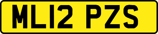 ML12PZS
